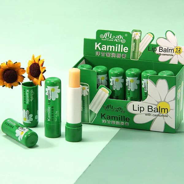 Lip Plumper 12PcsLot Camomila Bálsamo Nutritivo Hidratante Profundo Reduza Linha Fina Batom Proteção Cuidados Cosméticos 231207