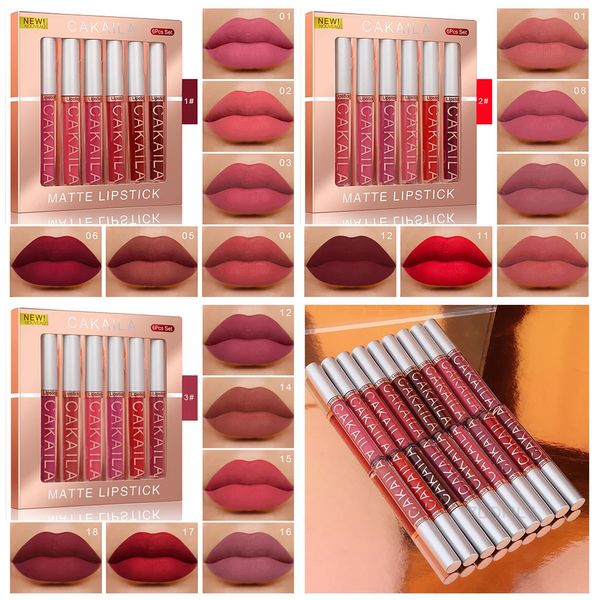 Rossetto 6 pezzi set di scatole velluto opaco duraturo antiaderente liquido lucidalabbra nudo smalto labbra trucco cosmetici Labiales 231207