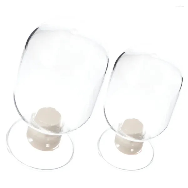 Garrafas de armazenamento 125/250ml garrafa de amostra de vidro cônico semente em pó suporte de exibição de amostra de cristal com rolha de borracha