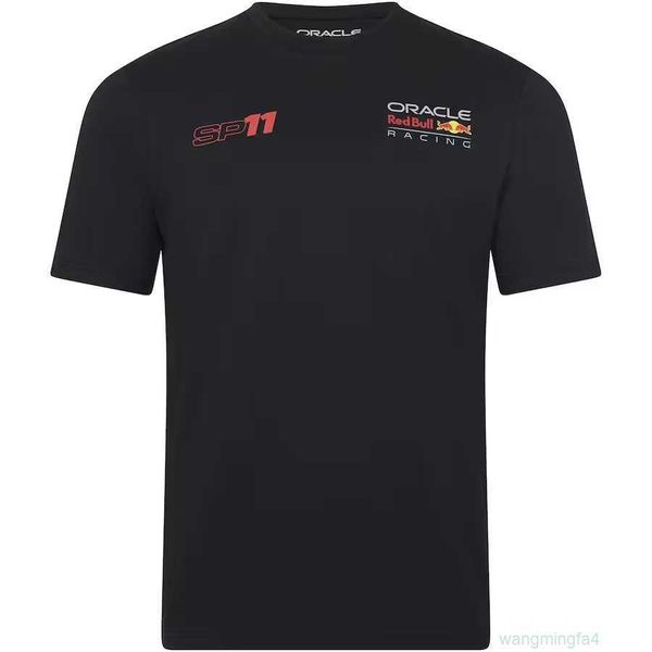 Erkek Tişörtleri Açık Mekan T-Shirts Yeni F1 Yarış Motosiklet Takım Mountain Polo Nefes Alabilir Hızlı Kurutma Yuvarlak Boyun Kısa Kollu Off-Road Gömlek SLXE