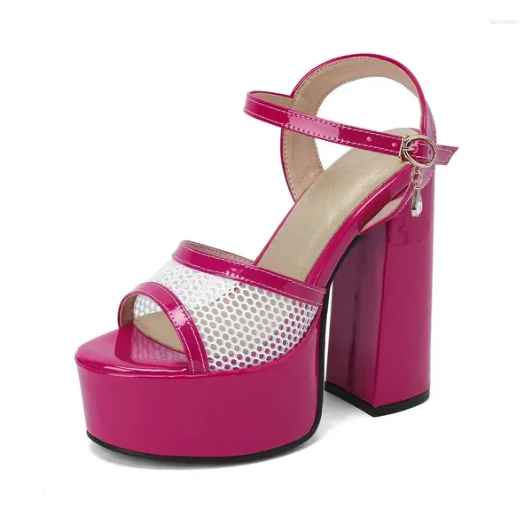 Sandalen Mesh Net Strap Offene spitze Sexy Dame Pumps Rosa Rose Farbe Plattform Schuhe Sommer Block High Heels Luxus Designer
