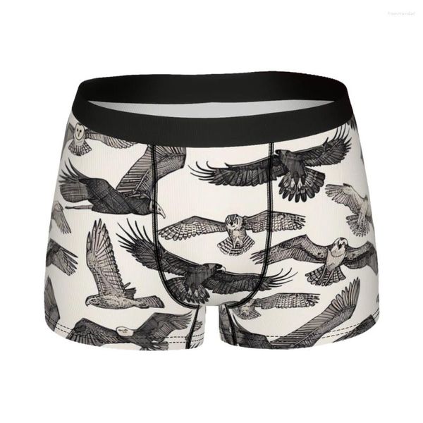 Mutande Birds Of Prey Mutandine di cotone nere Intimo maschile Pantaloncini comodi Boxer