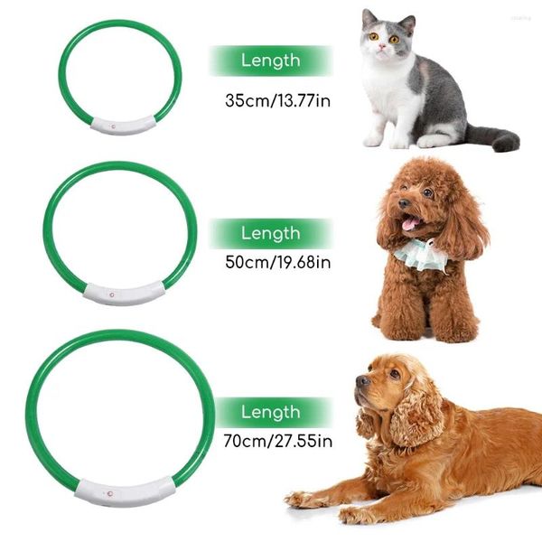 Coleiras para gatos Coleiras para animais de estimação ao ar livre Dog Walking Loss Prevention Luminous Light Colar Recarregável USB LED