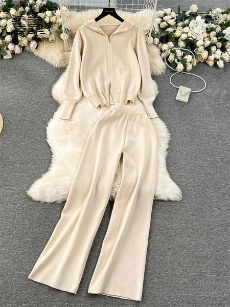 Kadınlar iki parçalı pantolon tekin fermuarlı kış kazağı takım elbise kadınlar uzun kollu kapşonlu hırkalı elastik bel geniş bacak sıcak örgü seti