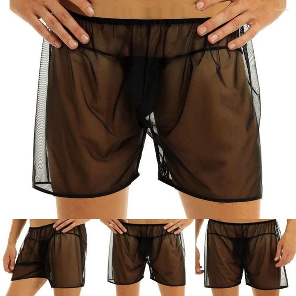 Unterhosen Männer Durchsichtige Boxer Sommer Atmungsaktive Slips Shorts Ultradünne Transparente Unterwäsche Höschen Mesh Männlich