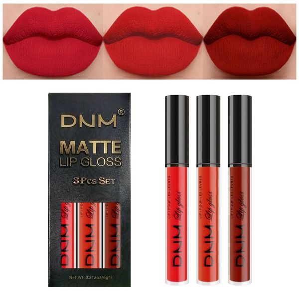 DNM 3 pz/set Lip Smalto Velluto Rossetto Opaco Impermeabile Durevole Durata di Alta Resa Colorata Lip Smalto Lunga Usura Lip Gloss Kit