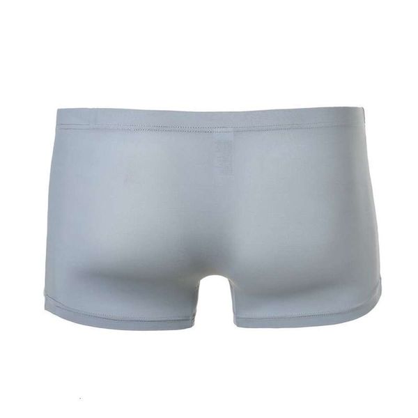 Boxershorts Männer Hot S Boxer Elefantenrüssel Durchscheinend Sexy Eisseide Ärmel Beutel Unterwäsche