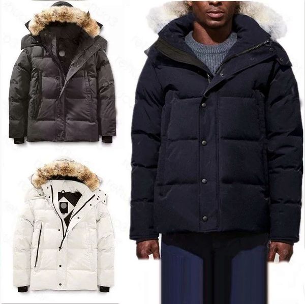 Jaqueta masculina de designer superior inverno algodão feminino parka moda malha ao ar livre trench coat casal espessado casaco térmico designer personalizado parka canadense M-3XL