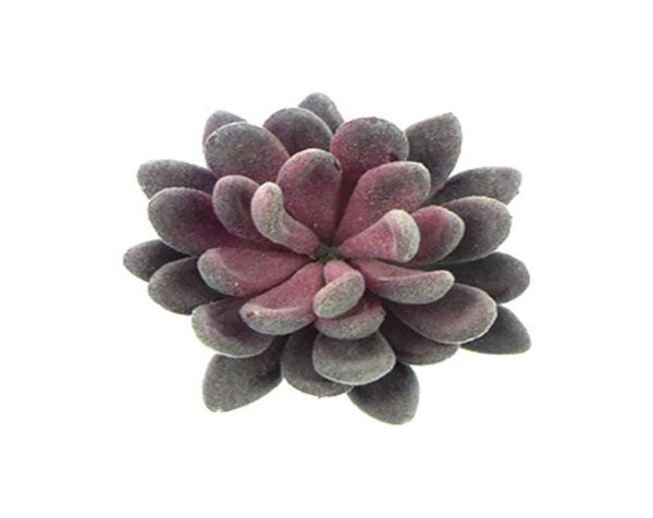 Ufficio Soggiorno Floccato Falso Finto Succulente Artigianato Paesaggio Mini Simulazione Bonsai Decorazione della casa Regalo Echeveria artificiale3044624