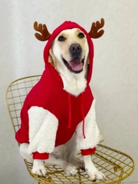 Hundebekleidung, Haustierkleidung für den Winter, Wärme, reine Baumwolle, Plüsch, Weihnachts-Hirsch-Kapuzenpullover, großes goldenes Haar, Labrador