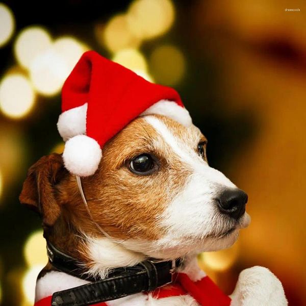 Hundebekleidung 6 Stück Haustier Weihnachtsmütze mit Gummiband Niedliche rote Weihnachtskopfbedeckung für Haustiere Kostüm Katzen Hunde Hüte Zubehör