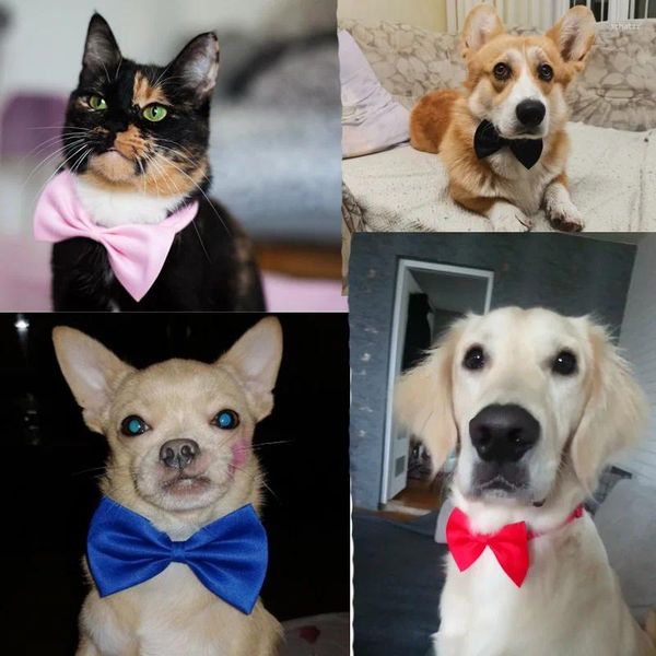 Abbigliamento per cani 1 pezzo Collana per gatti per animali domestici Fascia per collo regolabile Accessori per la cura di fiocchi carini Forniture per fiocchi a strisce