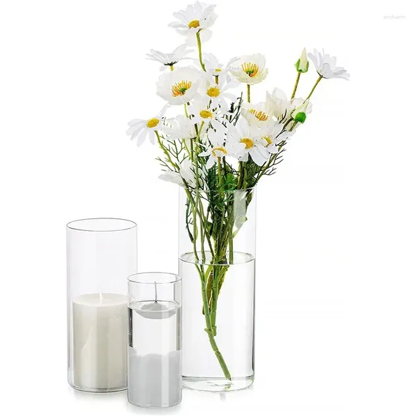 Vasi Vaso di vetro Vaso di fiori idroponico per fiori secchi Disposizione Bottiglia Cilindro Decor Home Room