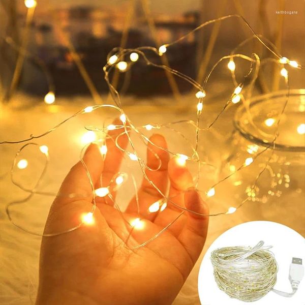 Cordas LED Fada String Luzes Fio de Cobre Estrelado Luz Tira Lâmpada Férias Iluminação Sala Casamento Festa de Natal Decoração.