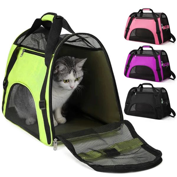 Caixas de gato casas gato cão dobrável sacos de transporte macio portátil respirável malha de borracha bagagem durável leve pet outing mochila para viagens 231212