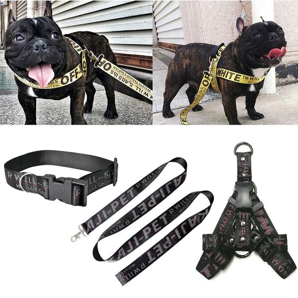 Coleiras para cães Trelas Coleira e trela para cães Conjunto de coleira de cachorro de nylon com corrente de ouro de moda Corda longa com letras Coleira Perro para cachorro Pitbull 231212