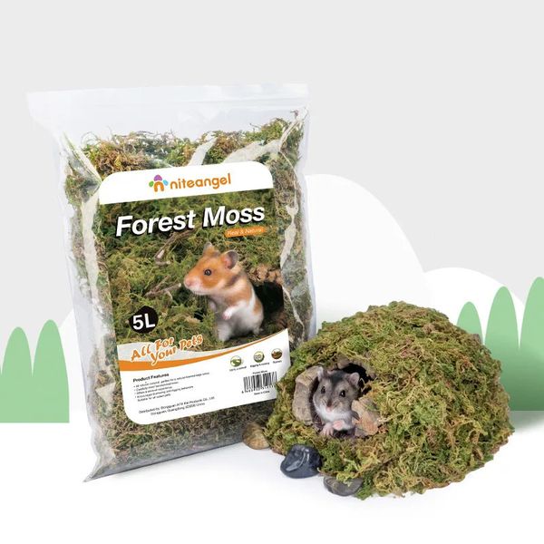 Outros suprimentos para animais de estimação Floresta Seca Musgo Hamster Golden Bear Nest Cama Limpa Dustfree Material Natural Gaiola Paisagismo Pequenos Acessórios 231211