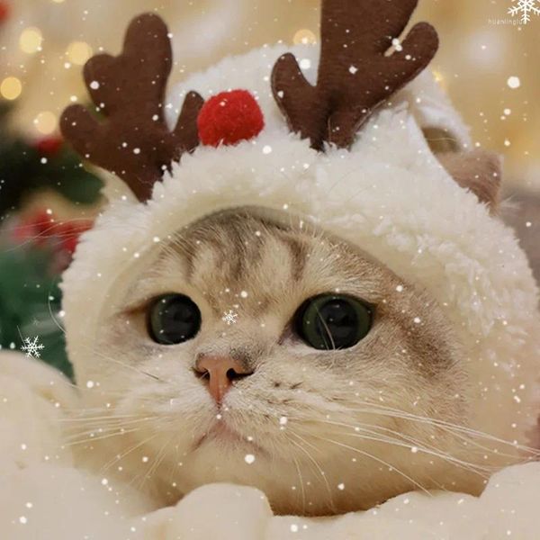 Cão vestuário outono inverno quente gato pequeno traje de natal manto santa rena cosplay engraçado pet capa vestir roupas adereços decoração