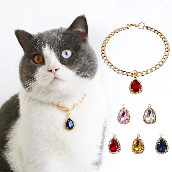 Hundebekleidung, Diamant-Anhänger, Haustier-Halskette für kleine kleine Welpen, mit Goldkette, Katze, Luxus-Halsband, Schmuck, Pflegezubehör