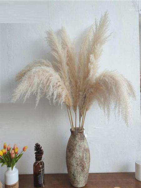 80 cm Nagaho natürliche getrocknete Schilfblumen, großer Pampasgras-Blumenstrauß, Hochzeits-Blumenzeremonie, Dekoration, moderne Heimdekoration, 19002862
