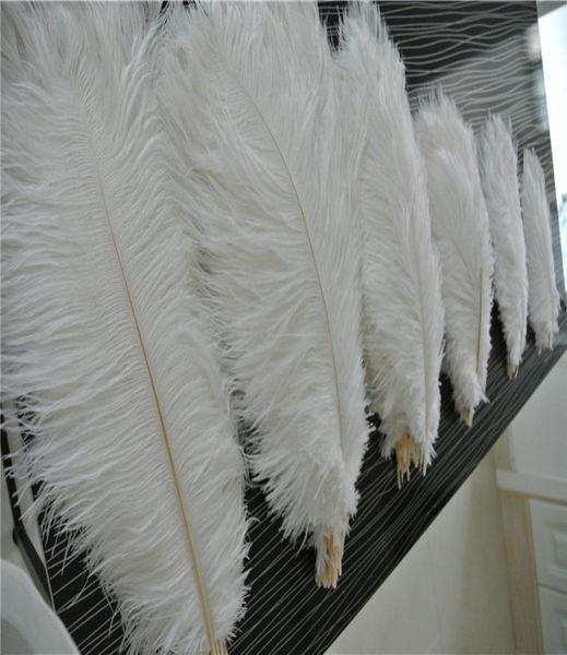 Ganze 50 Stück weiße Straußenfedern für Hochzeitsdekoration, Party-Dekoration, Party-Event, Dekoration, Versorgung 2841022