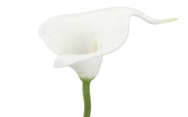 10 Köpfe weiße Calla-Lilien, künstliche Braut-Hochzeitsstrauß-Kopf, Latex, fühlt sich echt an, künstliche Blume, Hochzeitsdekoration8717188