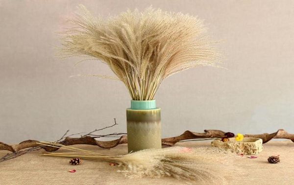 50 pçs real seco pequeno pampas grama ramo de flores de casamento plantas naturais decoração de casa flores secas phragmites flor ornamental6413732