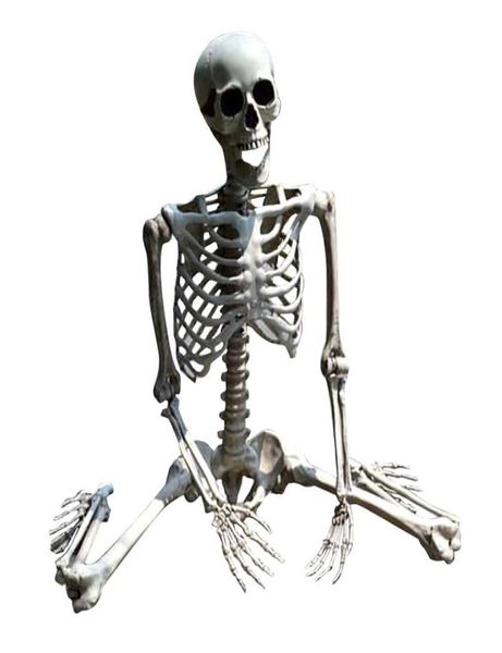 70 cm Halloween Skeleton Stütze Human voller Größe Schädel Handlebenskörper Anatomie Model Decorhalle Party Dekor für Zuhause Y09096767025