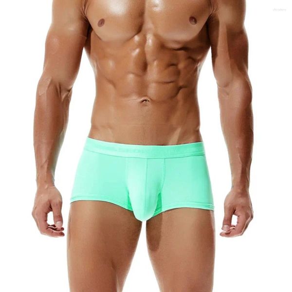 Cuecas masculinas moda u convexo boxer shorts jockstrap calças de canto plana quatro esportes tronco