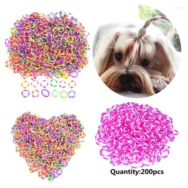 Vestuário para cães 200pcs Pet Grooming Rubber Band Acessórios Coloridos Suprimentos Elásticos Produto Hairpin Acessório