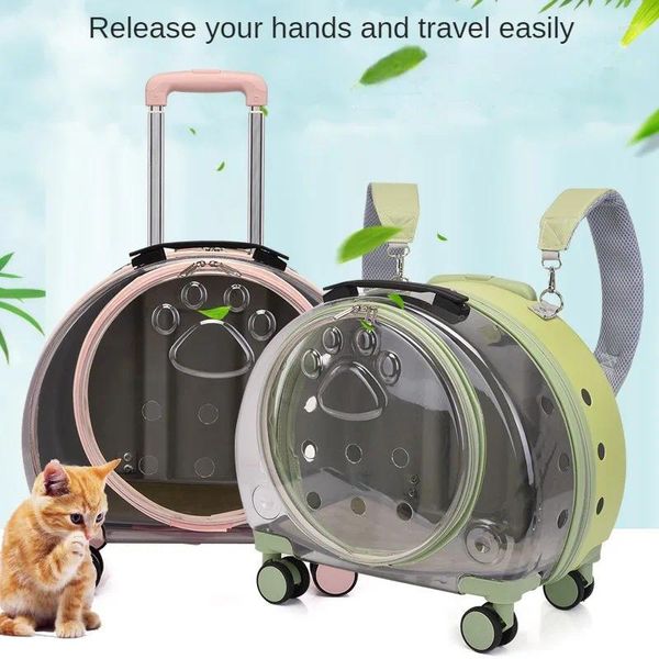 Trasportini per gatti Bagagli per animali domestici Borsa per trolley con asta trasparente Borsa per trasporto cani portatile Zaino di grande capacità Accessori