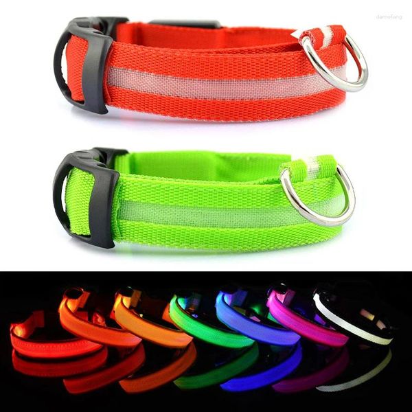 Hundehalsbänder leuchten LED-Halsbandlichter für nächtliche Spaziergänge, wiederaufladbar, wasserdicht, leuchtend, für große, kleine und mittelgroße Hunde
