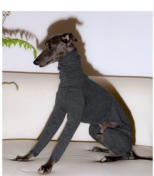 Cão vestuário italiano galgo inverno porão cor sólida quente quatro pernas Whippet Turtle Collar roupas macias cinza 231213