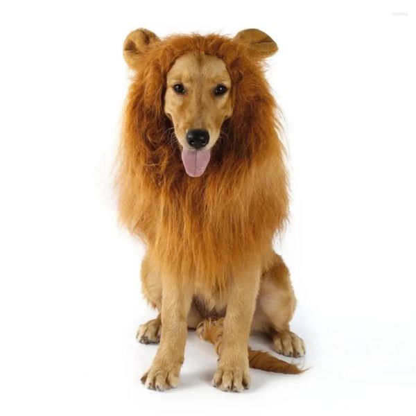 Cão vestuário bonito animal de estimação gato cosplay roupas transfiguração traje leão juba peruca quente grande decoração de festa com acessórios de orelha