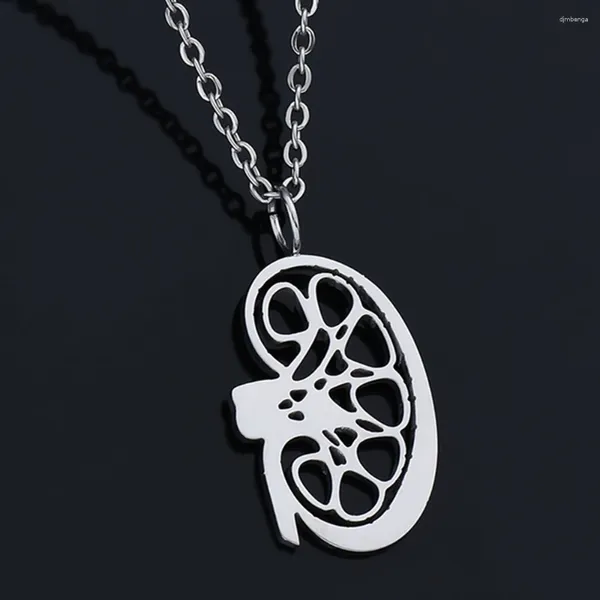 Anhänger Halsketten Catuni Nierenanatomie Halskette versilbert Einfacher Organschmuck Geschenk für Ärzte Krankenschwestern Medico