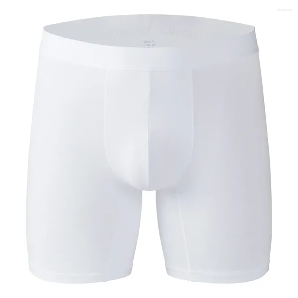 Mutande da uomo in cotone Mutandine boxer delicate sulla pelle Umidità traspirante Gambe lunghe sexy Biancheria intima allentata casual in tinta unita