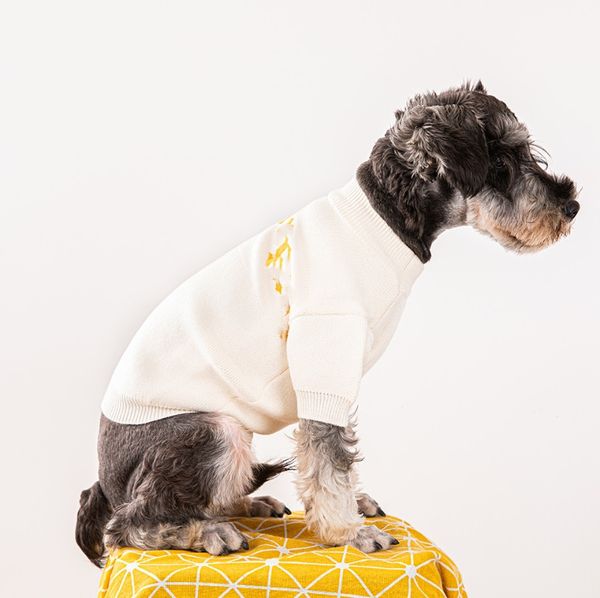 Оптовая продажа для маленьких и средних собак, модный брендовый свитер для собак, осень и зима, новая модная одежда для домашних животных, товары для домашних животных на открытом воздухе