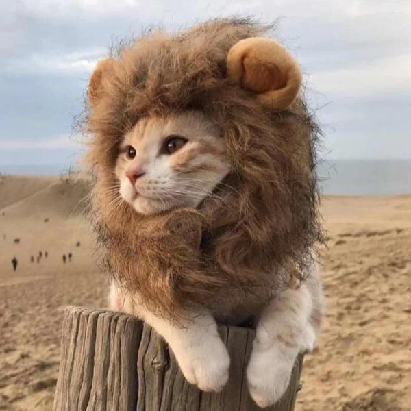 Trajes de gato engraçado animais de estimação roupas boné bonito peruca leão mane cosplay gatinho filhote de cachorro chapéus com orelhas fantasia festa suprimentos halloween