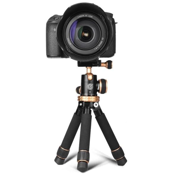 Holders Q166Z 30 cm leichtes Reisestativ Tragbares kompaktes Makro-Mini-Tischstativ mit Kugelkopf für Canon Nikon Sony DSLR-Kamera