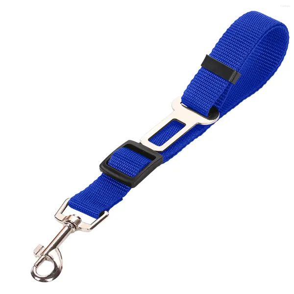 Abbigliamento per cani Accessori per animali domestici per cani di piccola taglia Forniture per maglioni Collare accessorio per servizio cintura di corda per alimenti