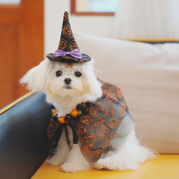 Vestuário para cães Halloween Outfits Bonito Manto Chapéus Traje Engraçado Abóbora Impressão Xale Coleiras Cachorrinho Acessórios Pet Festival Party Roupas