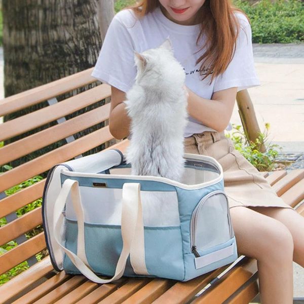 Bolsa transportadora para cães e gatos, bolsa de viagem para exterior, portátil, transparente, malha respirável, verão, filhotes