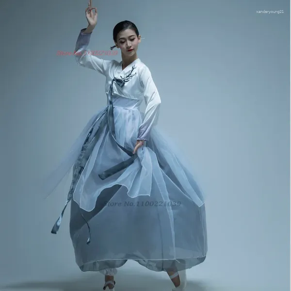 Ethnic Clothing 2023 National Dance Wear Hanbok Korean Traditional Folk Costume Vintage Stage Performance Chiffon Dress