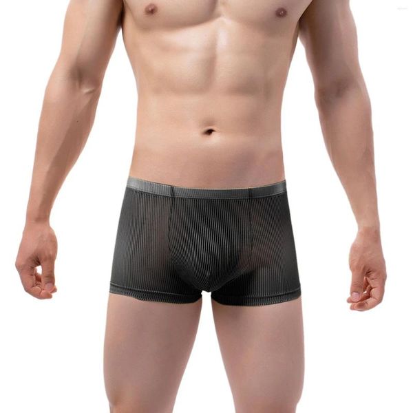 Underpants 2023 Sexy Mens Transparente Boxer Malha Sheer Penis Bolsa Boxers Masculino Cintura Baixa Ver Através de Roupa Interior Atacado
