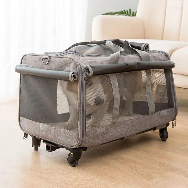 Hundeträger-Kinderwagen-Wagen, Haustier-Welpenwagen für kleine Hunde, Doppel-Welpen-Förderer, faltbar, abnehmbar, für den Außenbereich, Katze