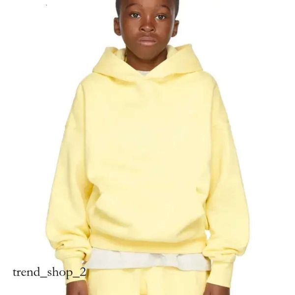 Essentialss Kinder-Baby-Kapuzenpullis, Designer-Kleidung, Esstenials Kapuzenpullover, Jungen-Mädchen-Mantel, Kleinkinder, Jugendliche, Kinder, Kinderkleidung, Buchstabe Essentails 729