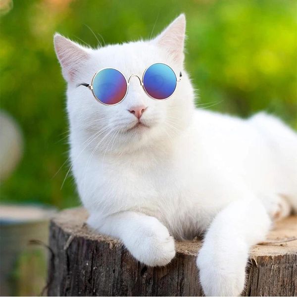 Óculos de sol para gatos, óculos de sol para animais de estimação, filhotes, proteção uv, óculos de sol para bonecas, cães pequenos, cosplay, adereços para fotos, produtos para animais de estimação