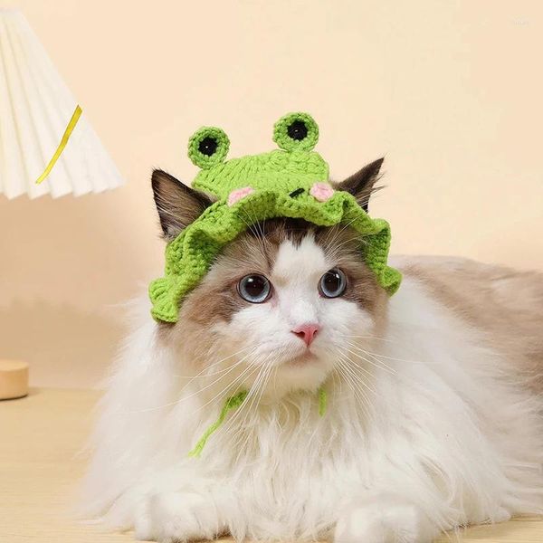 Kedi Kostümleri Evcil Kediler ve Köpekler İçin Pet Örme Şapkalar Cospal Props Frog Headress Sevimli Çapraz giyin