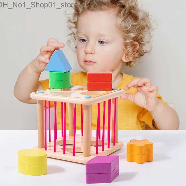 Ordinamento Nesting Stacking Toys Montessori Toys per 1 anno Baby Cubo selezionatore a forma di legno Apprendimento dello sviluppo Abilità motorie Giocattolo per ragazze Ragazzi 6 Regali 12 mesi Q231218