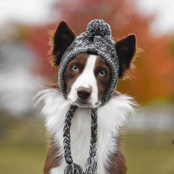 Abbigliamento per cani Cappello lavorato a maglia gonfio antivento termico con palla di pelo autunnale e invernale Copricapo per animali domestici Jarre Aero Bull